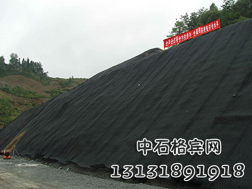 zsshilong100.jpg