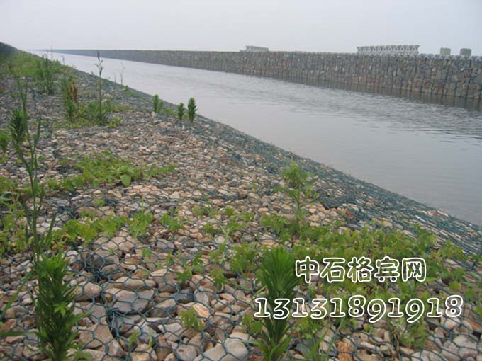 河道治理格賓網
